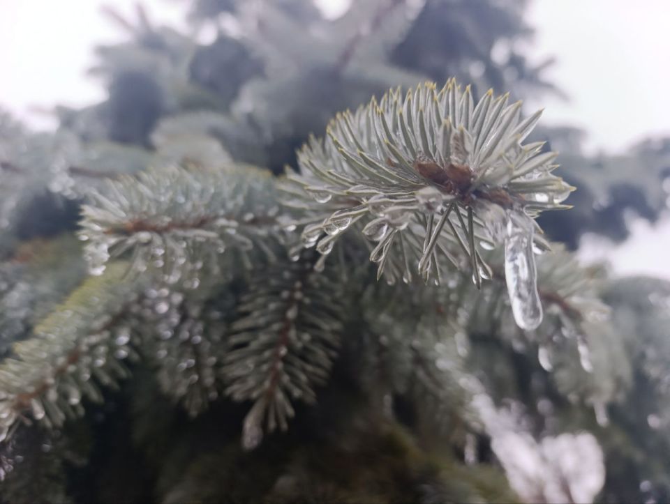 �������� ������� � ������ ����������� ������!