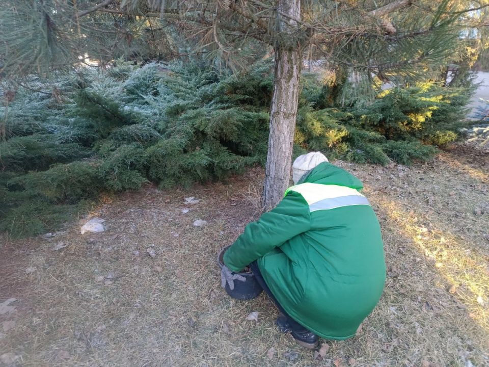 ���������� ������ ���������� � ��������� ����� ����� ��������