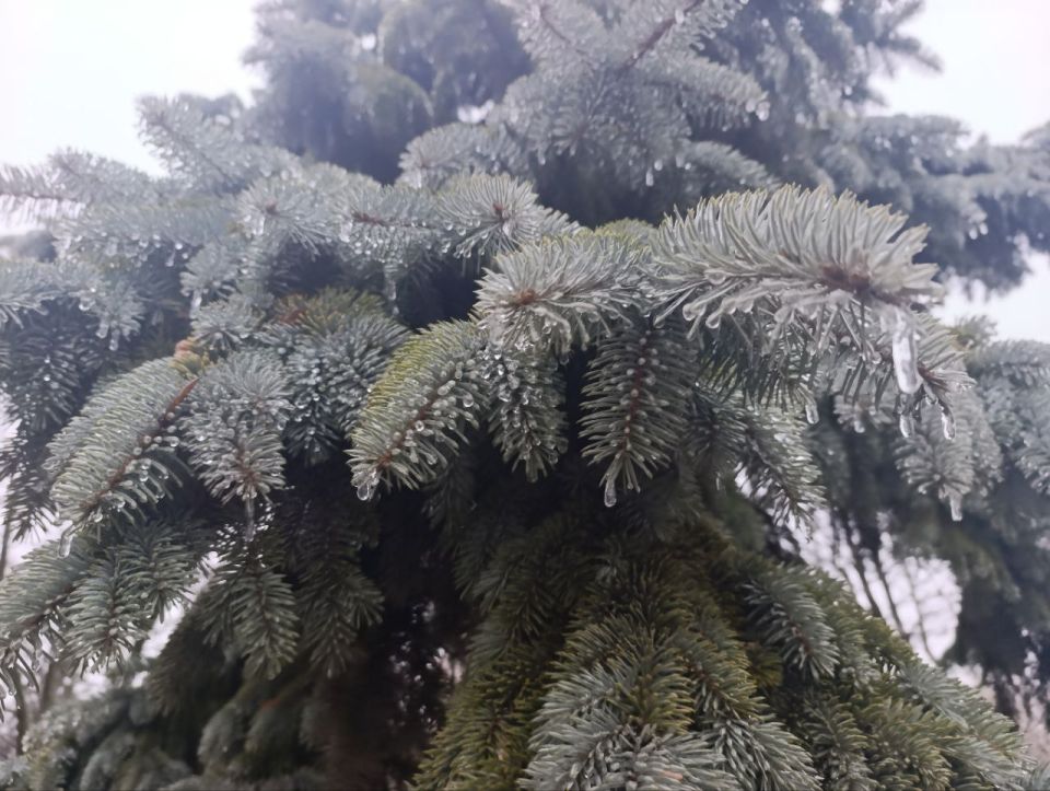 �������� ������� � ������ ����������� ������!