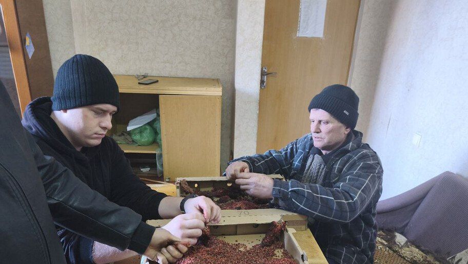 ������������ ������ �������� ����������� ����� ������