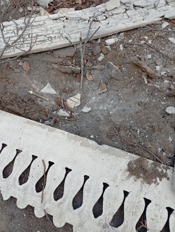 ������ �������: ���� ����� �� ����� 752 ������ �� ������������ ������ �� 7 �����