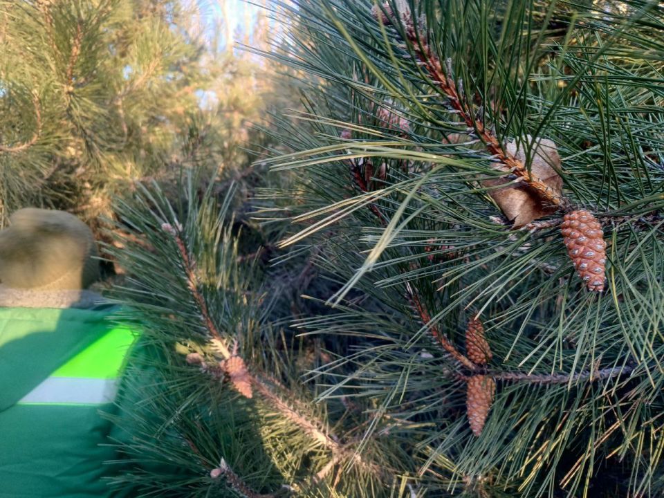 ���������� ������ ���������� � ��������� ����� ����� ��������