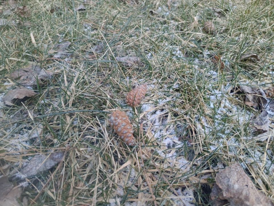 ���������� ������ ���������� � ��������� ����� ����� ��������