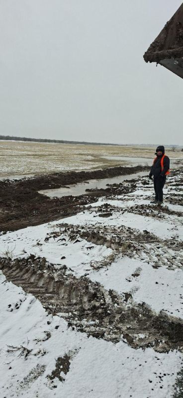 ���������� ������ �� ������ ���� � ��������