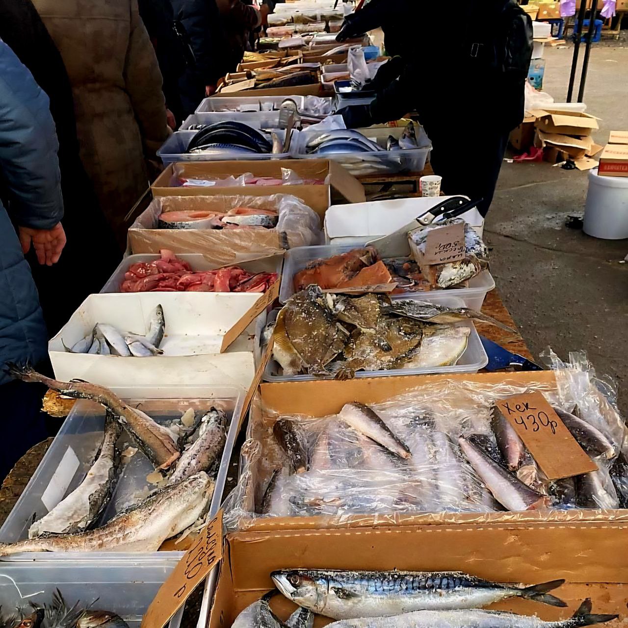 Ярмарки на Левобережье Херсонской области - 56 постоянно действующих площадок, где каждый день начинается с движения и улыбок! Ярмарки на Левобережье Херсонской области - 56 постоянно действующих площадок, где каждый день начинается с движения и улыбок!