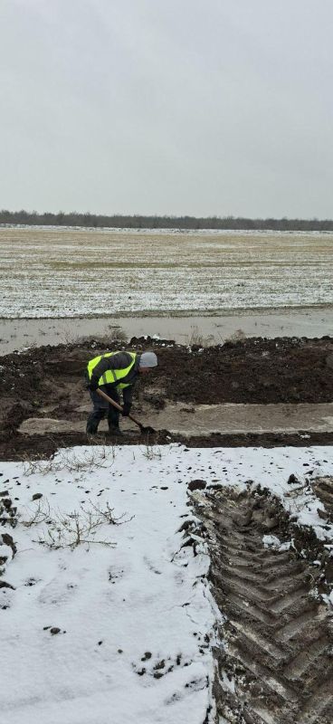 ���������� ������ �� ������ ���� � ��������