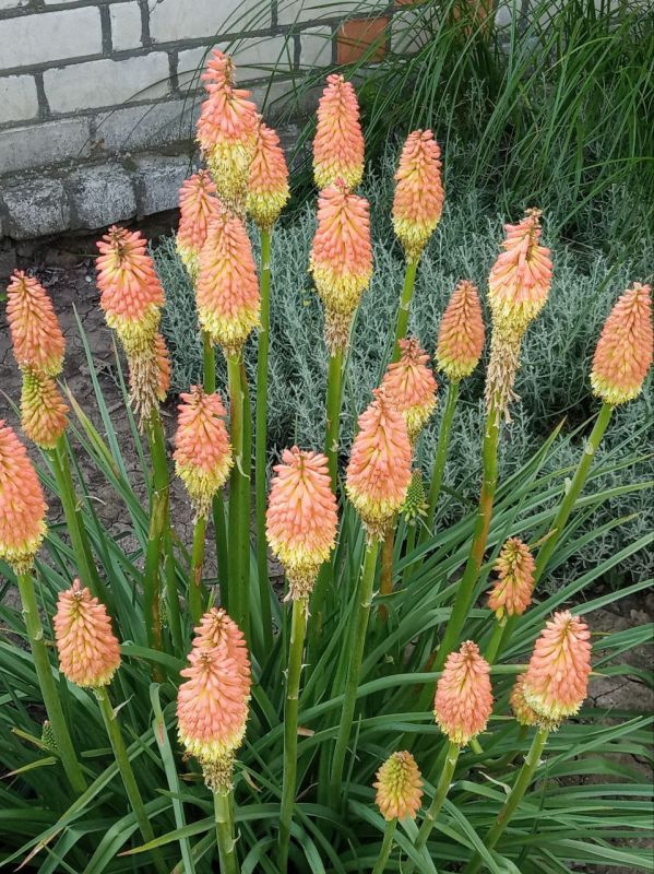 ������� ���������� ���� ��������� ����������� ���� ������ ��������!