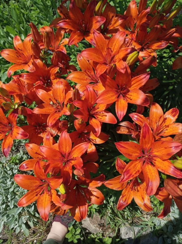 ������� ���������� ���� ��������� ����������� ���� ������ ��������!