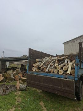 ������� ��� ��������������� ��������� ��������� ���������������� ������ �������� ����� ��������� ������� ��������