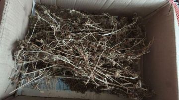 ���������� ������������� �� �������� �� �������� ���������� ������ ��� ������ �������������� ��������� 48-������� ������ ������ �������� � ���������� ������� �� ���������� � ���������� �������� ������������� �������...