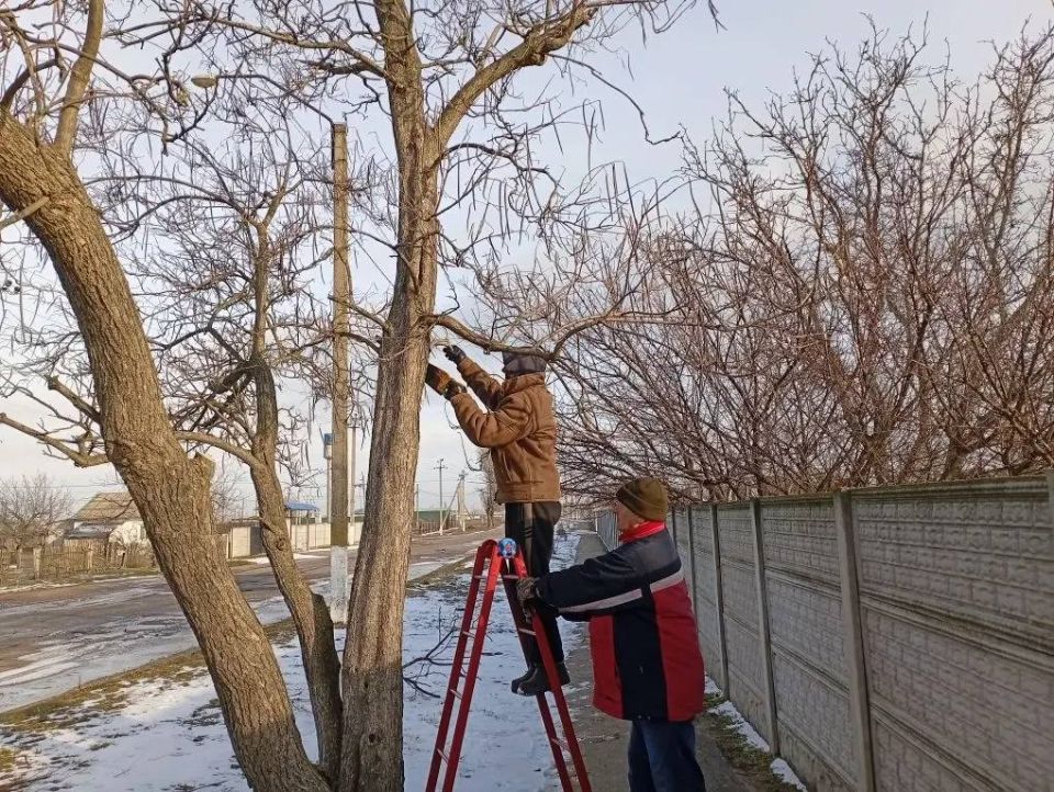 ������ �� ��������������� � ���� �������