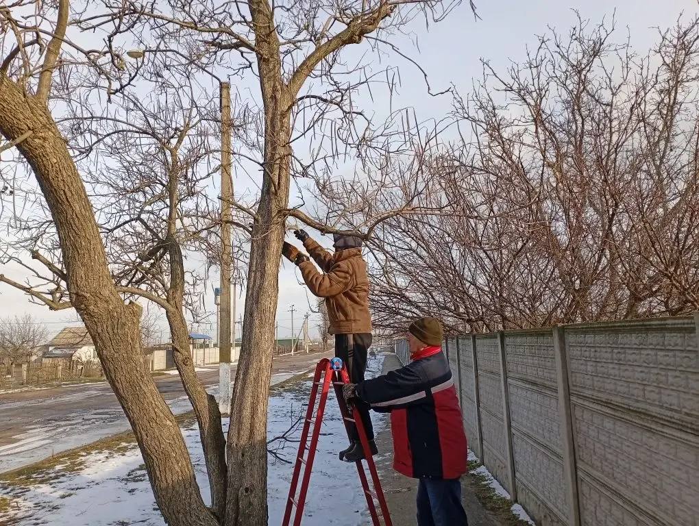 Работы по благоустройству в селе Райское