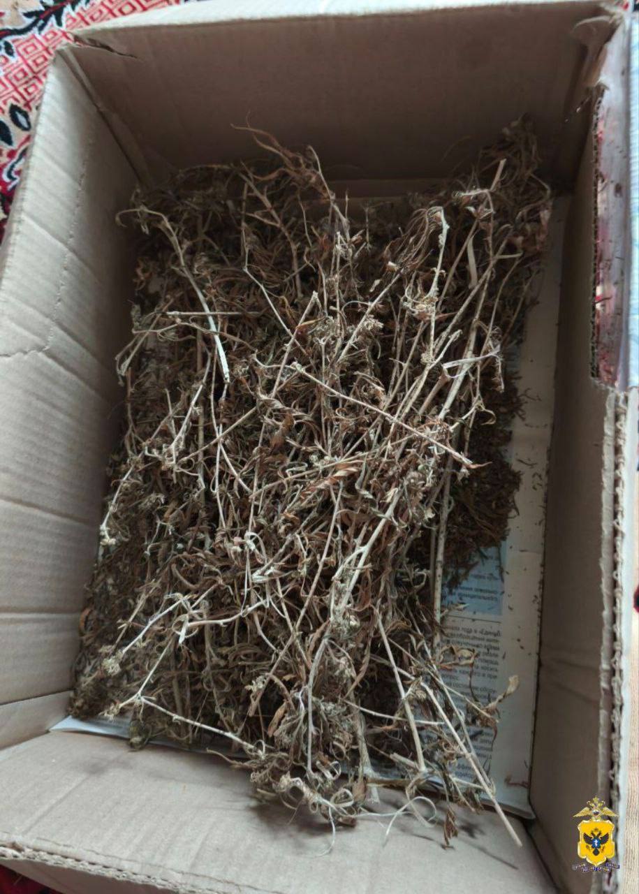 В Новокаховском округе полиция изъяла почти полкилограмма марихуаны у местного жителя В Новокаховском округе полиция изъяла почти полкилограмма марихуаны у местного жителя