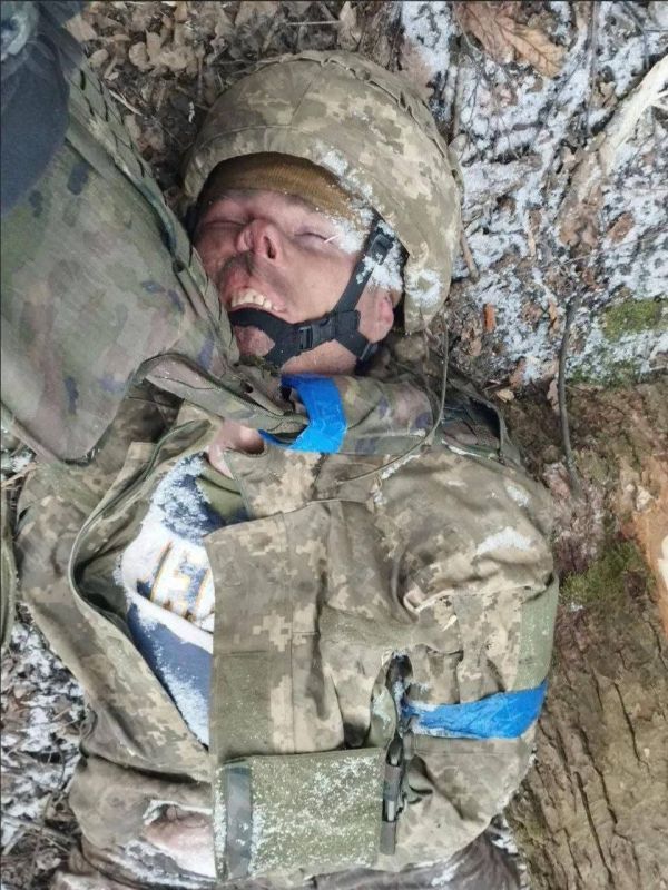 ��� 200. ��������-����� ���������� �������