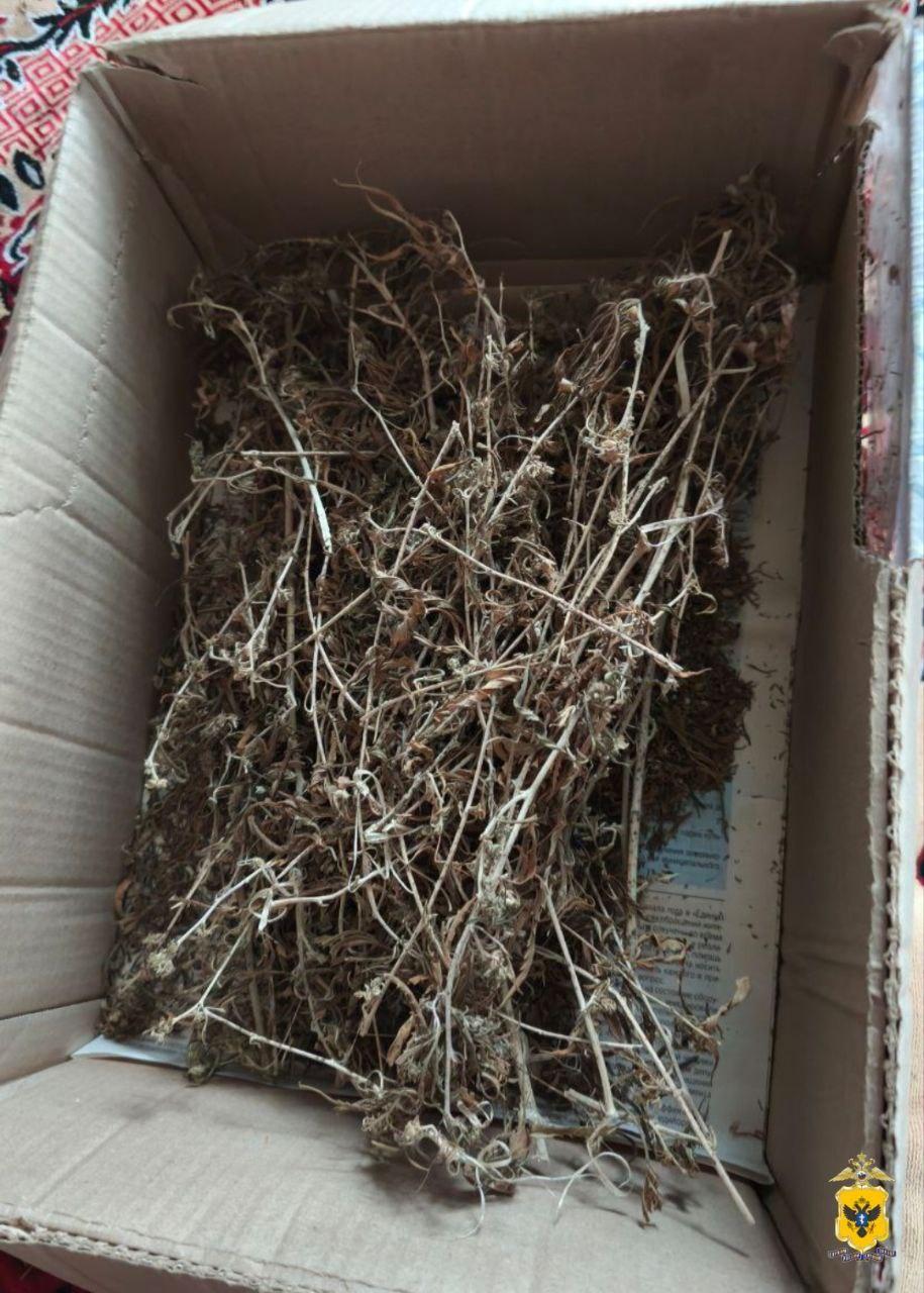 В Херсонской области полицейские изъяли полкилограмма растительного наркотика у жителя Новокаховского округа