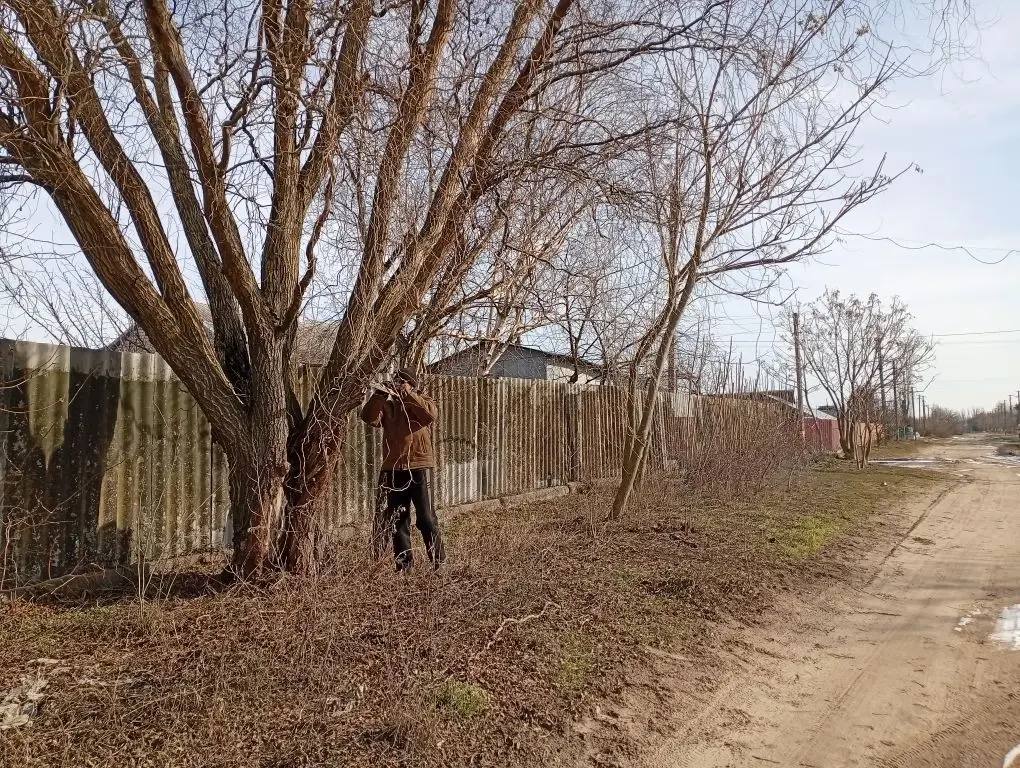 Работы по благоустройству в селе Райское Работы по благоустройству в селе Райское