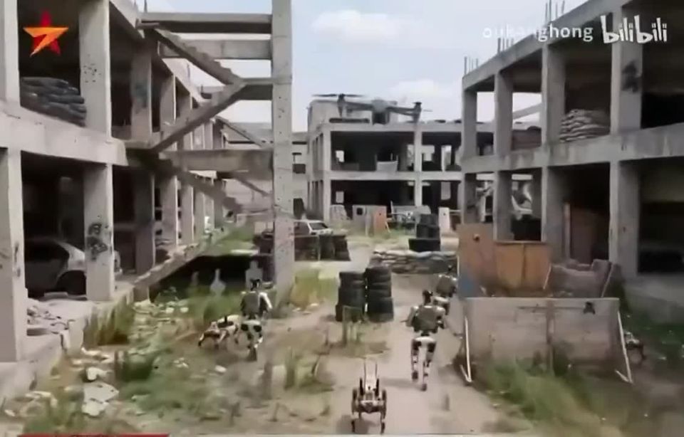 В Китае появится армия роботов