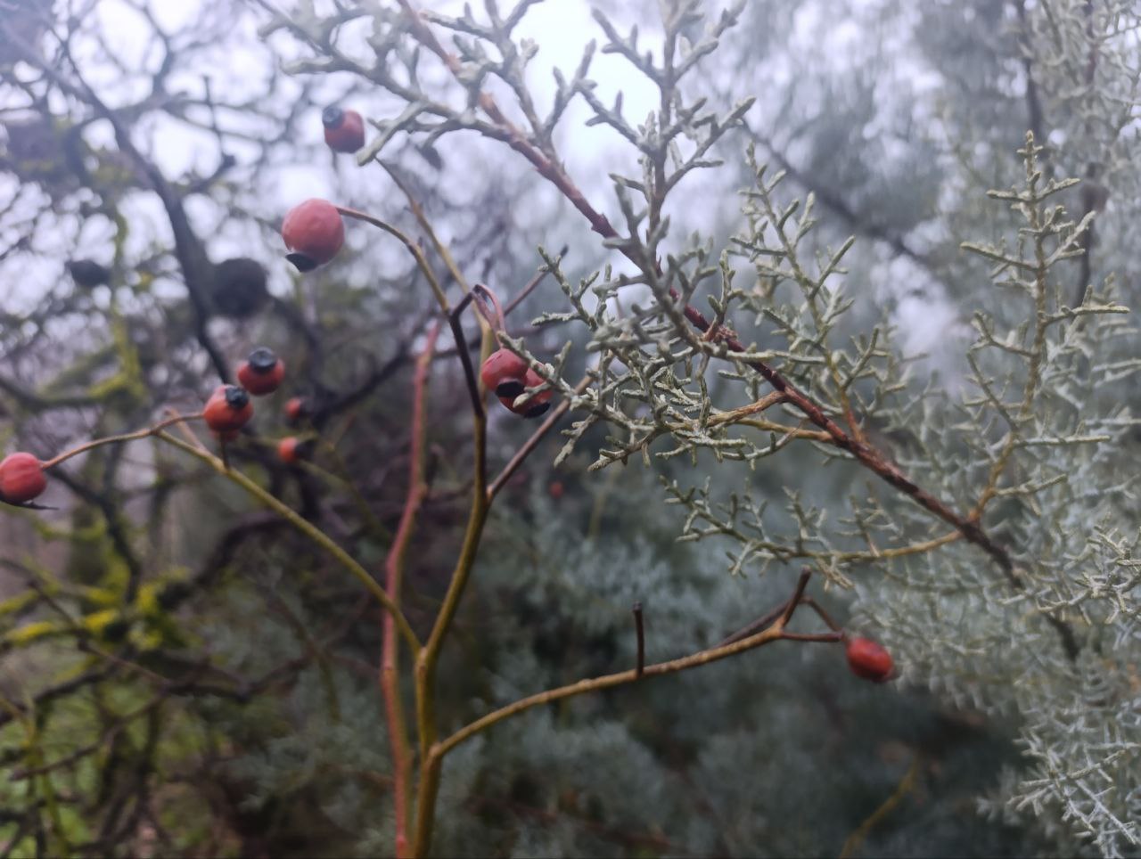 Юлия Семякина: Доброе утро, жители и гости Генического округа! Юлия Семякина: Доброе утро, жители и гости Генического округа!