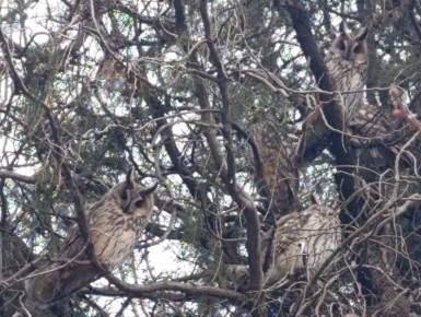 ���� ��������: ������ ����, ������ � ����� ����������� ������!