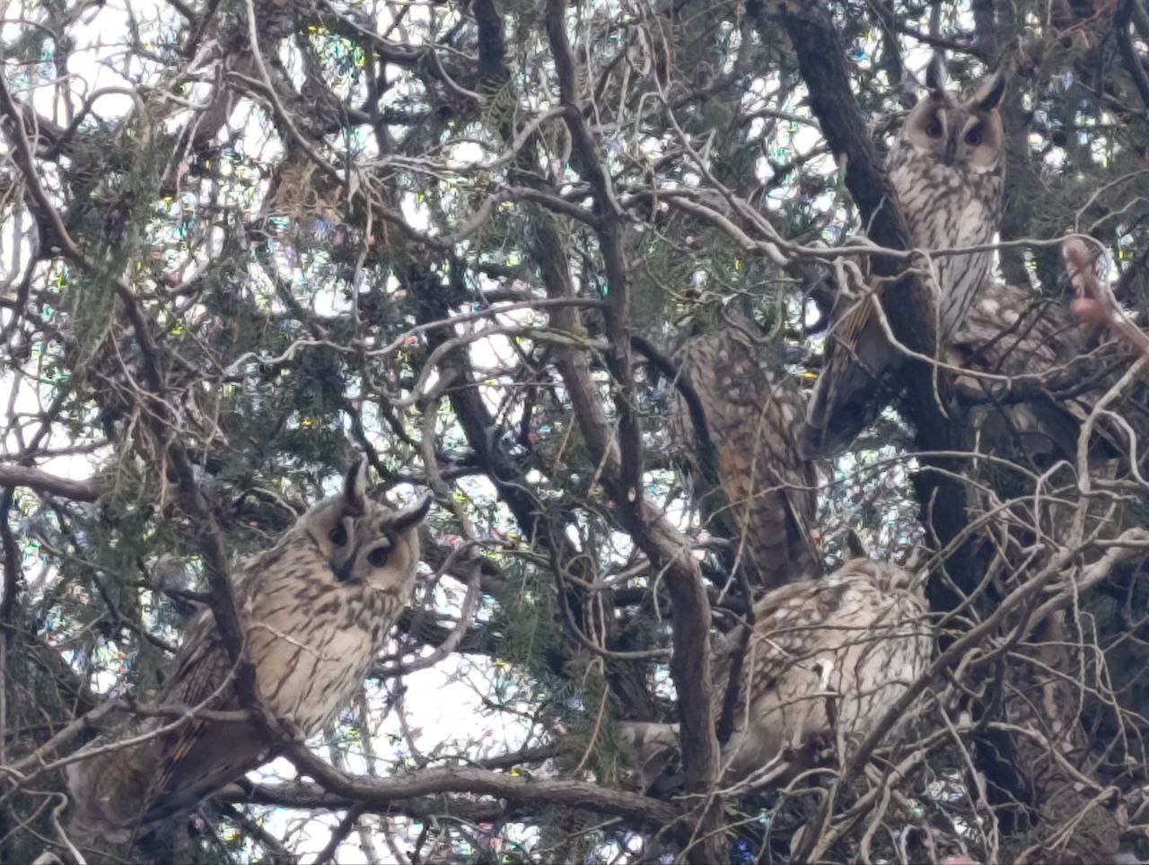 Юлия Семякина: Доброе утро, жители и гости Генического округа!