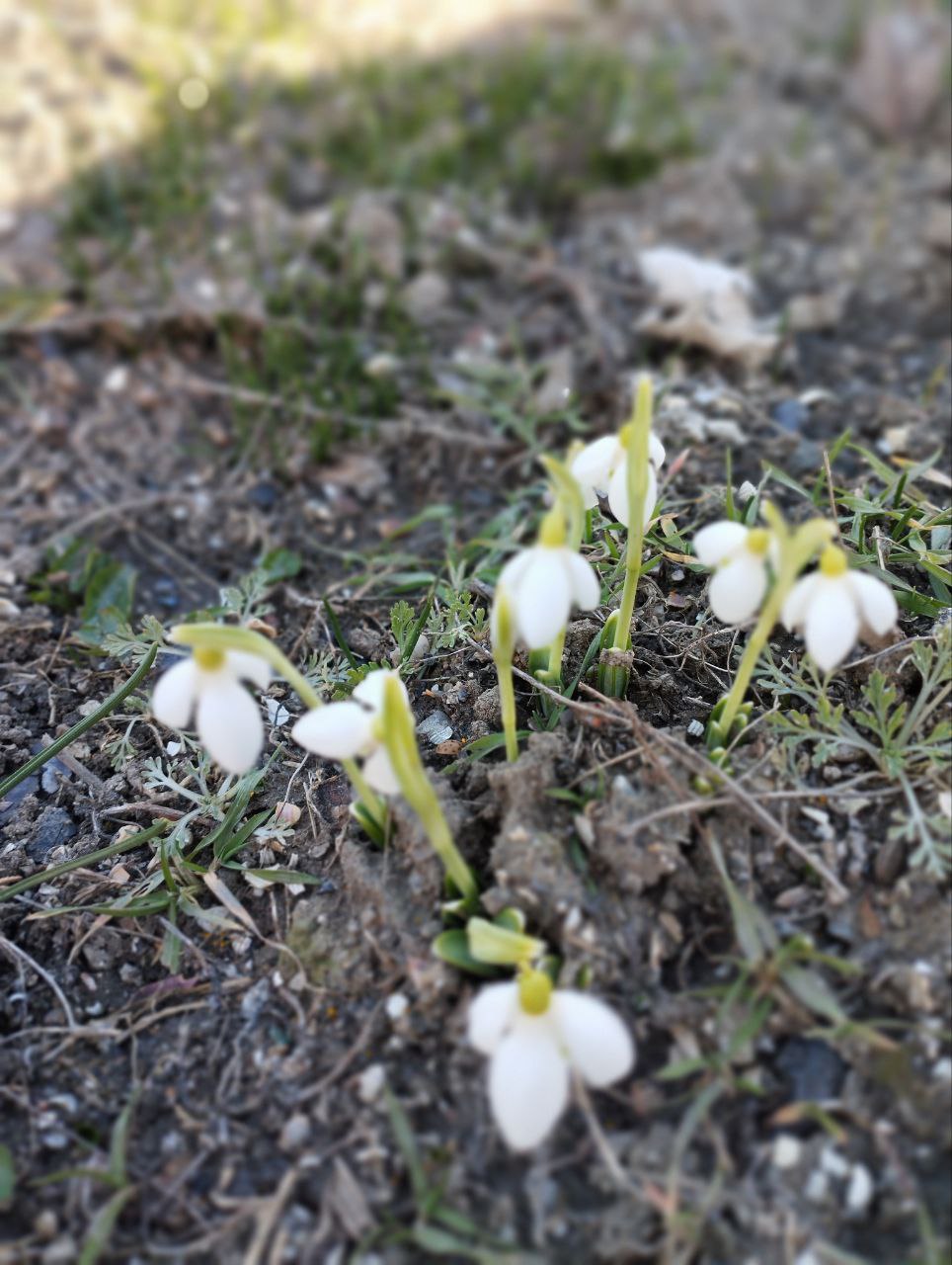 Юлия Семякина: Доброе утро, жители и гости Генического округа! Юлия Семякина: Доброе утро, жители и гости Генического округа!