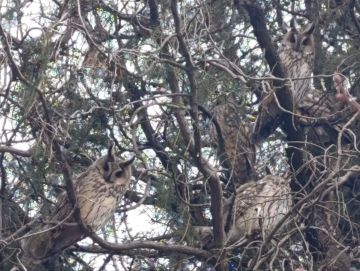 ���� ��������: ������ ����, ������ � ����� ����������� ������!