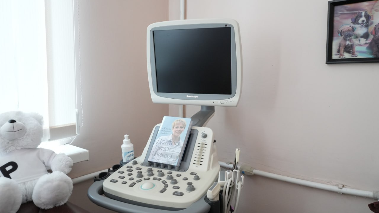 Казаки передали новый аппарат УЗИ в Республиканский травматологический центр ДНР Казаки передали новый аппарат УЗИ в Республиканский травматологический центр ДНР