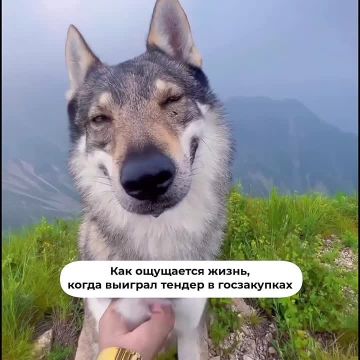 ���������� � ��� � ��� ���������� ����