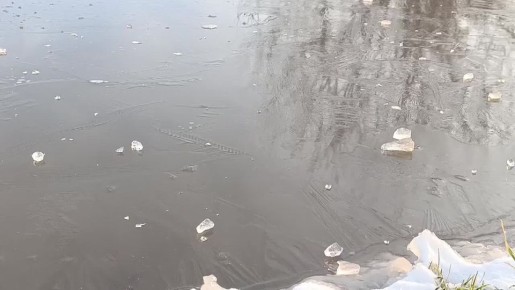 Доброе воскресное утро!. Именно воскресенье позволяет нам взглянуть на жизнь по-другому, это не суббота, когда надо всё успеть переделать по дому, приготовить еду и погулять