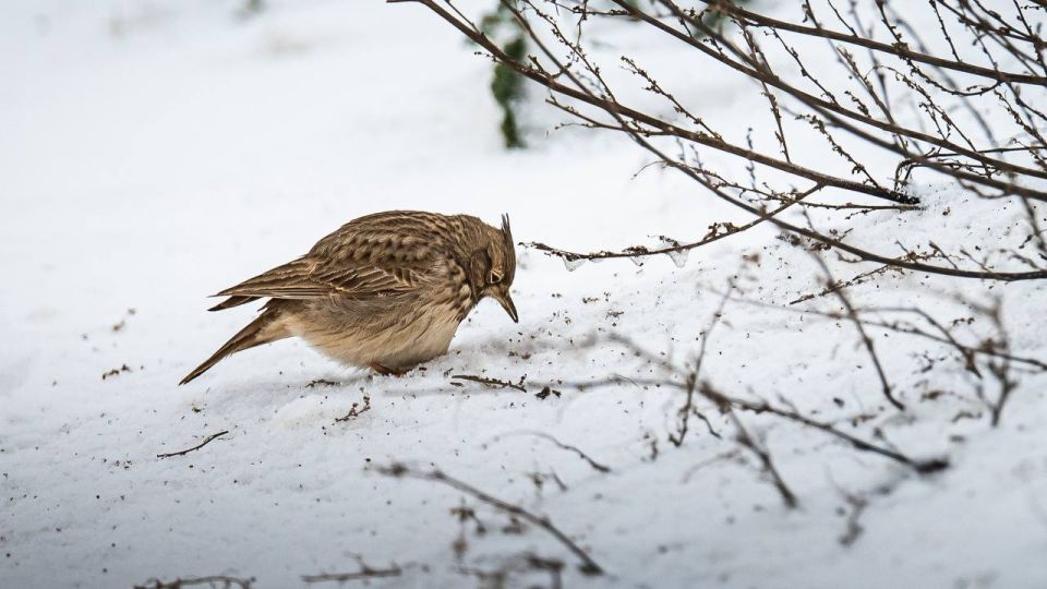 �������� ������: ���������� � ��� ������� �����, �������� ����� ������ � �����, �������� ������� ��� ������