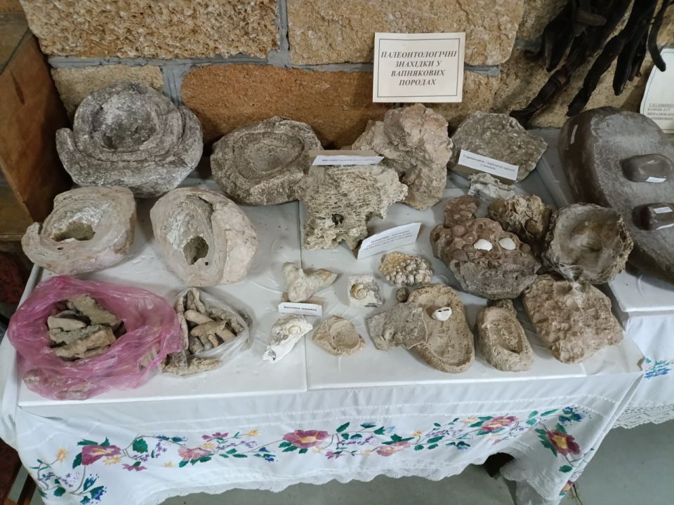 ������������������ ����������