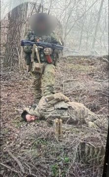 Добыча. телеграм-канал Херсонский Вестник