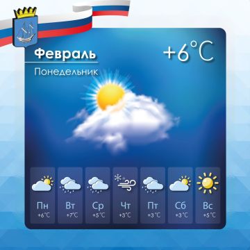 ������� ������ � ����������� ������������� ������ �� �����������, 23 �������