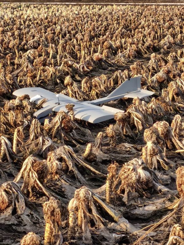 ������ �������: �� �������� 7 ����� ���� ����� �� ����� 794 ������ �� ������������ ������