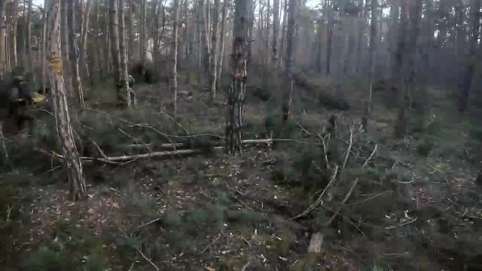 810-� ������� � ���������� �������