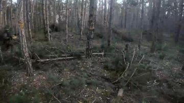 810-� ������� � ���������� �������