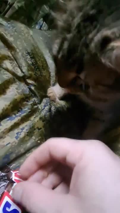 ���������� ����� ���������� ������ � ��������� ������