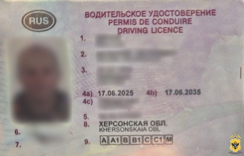 В Чаплинском округе в отношении 46-летнего мужчины возбуждено уголовное дело за использование поддельных водительских прав