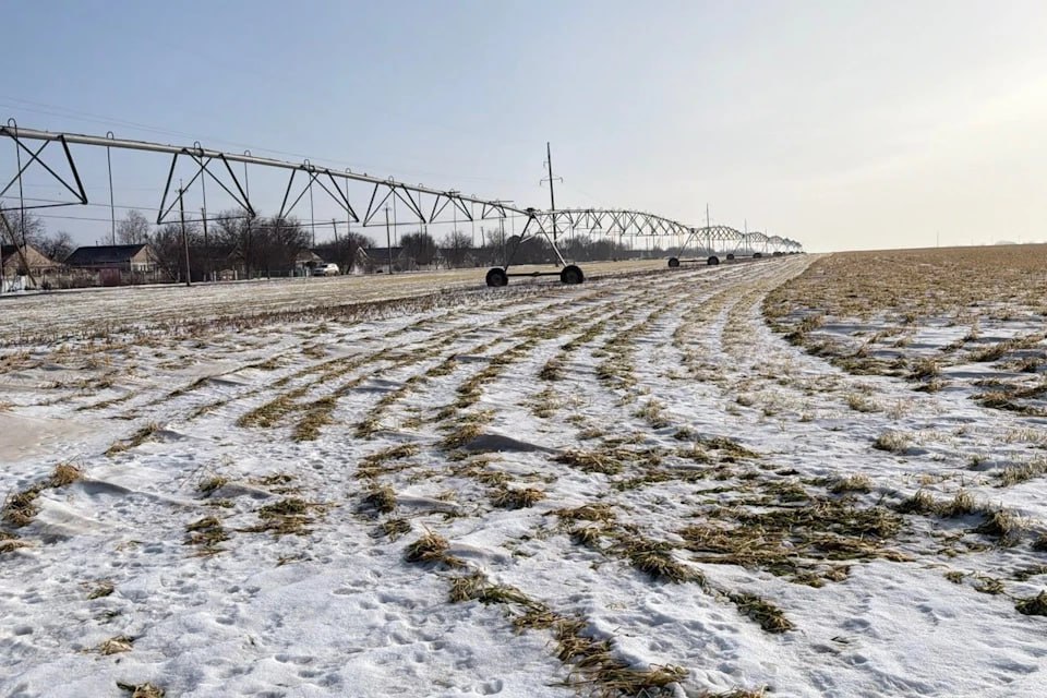 Быть уверенным в хорошем урожае: Херсонская область стремится вернуть статус центра семеноводства