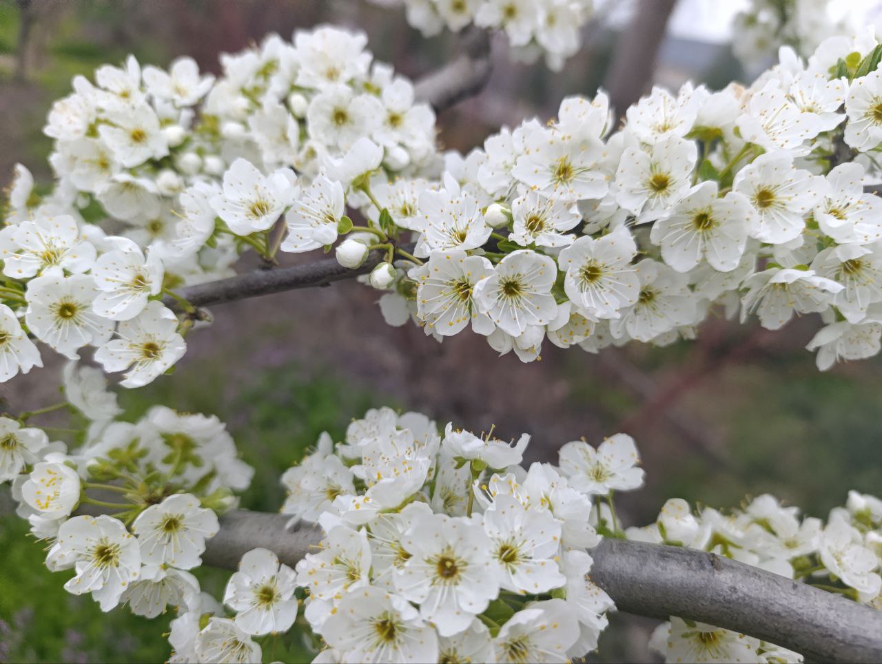 Доброе утро, жители и гости Генического округа! Доброе утро, жители и гости Генического округа!