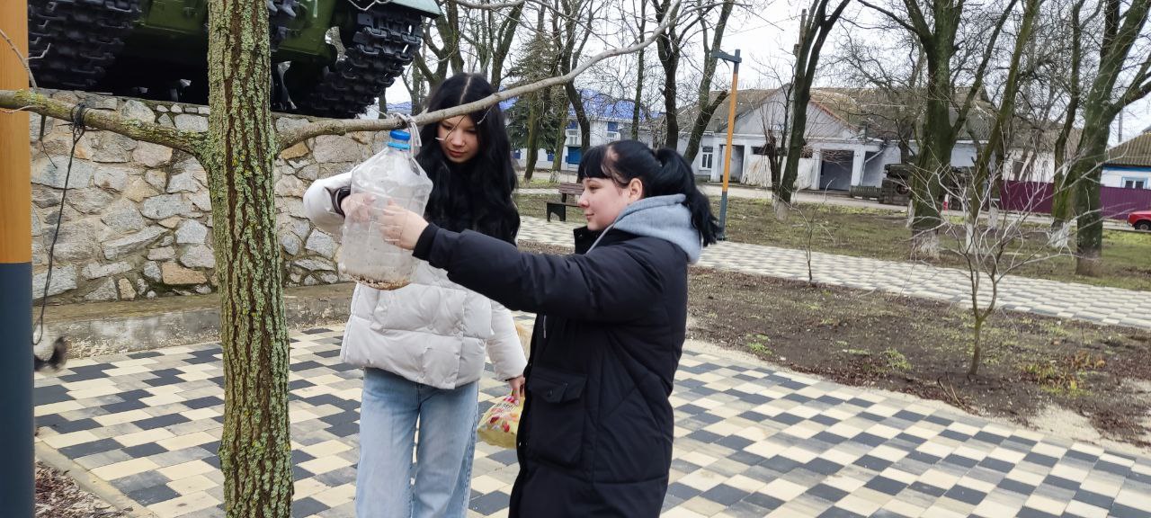 Зима – непростое время для наших пернатых соседей Зима – непростое время для наших пернатых соседей