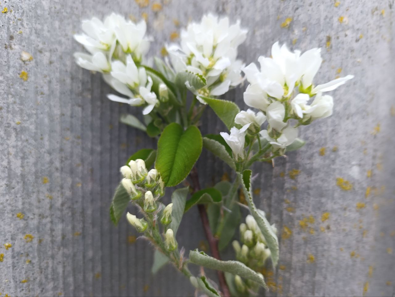 Доброе утро, жители и гости Генического округа! Доброе утро, жители и гости Генического округа!