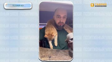 "���������� ����" � �������� ������������ �������� �� ����� ����