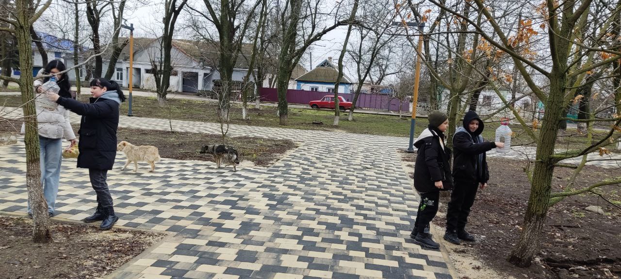 Зима – непростое время для наших пернатых соседей