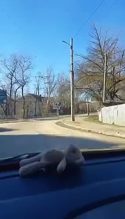 ������, 25 ������� 2026 ����