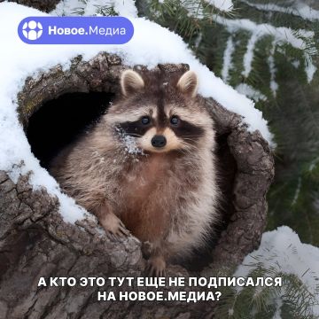 ���� �� �������: �� ������ �������� � ���� �������