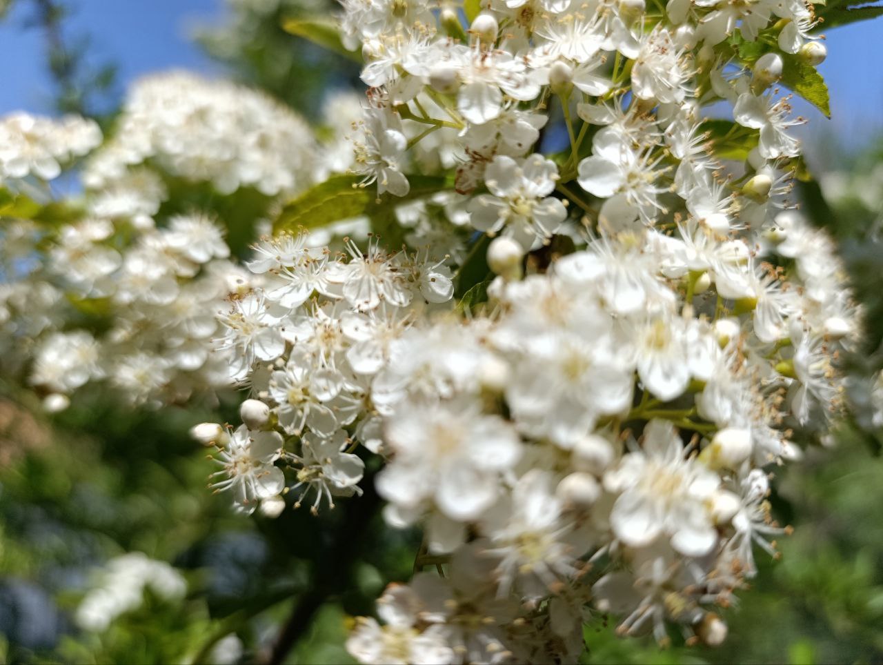 Доброе утро, жители и гости Генического округа! Доброе утро, жители и гости Генического округа!