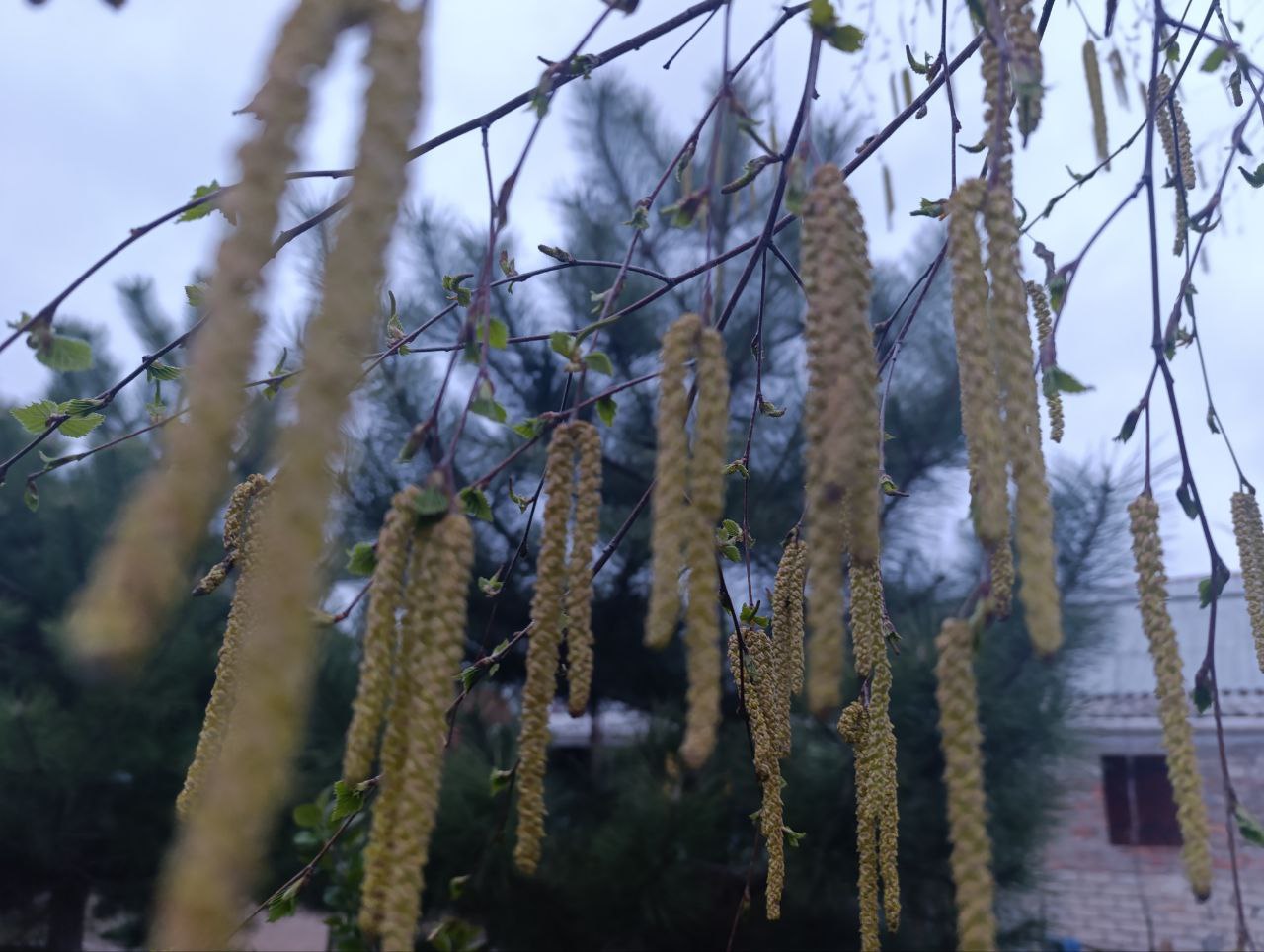 Доброе утро, жители и гости Генического округа! Доброе утро, жители и гости Генического округа!