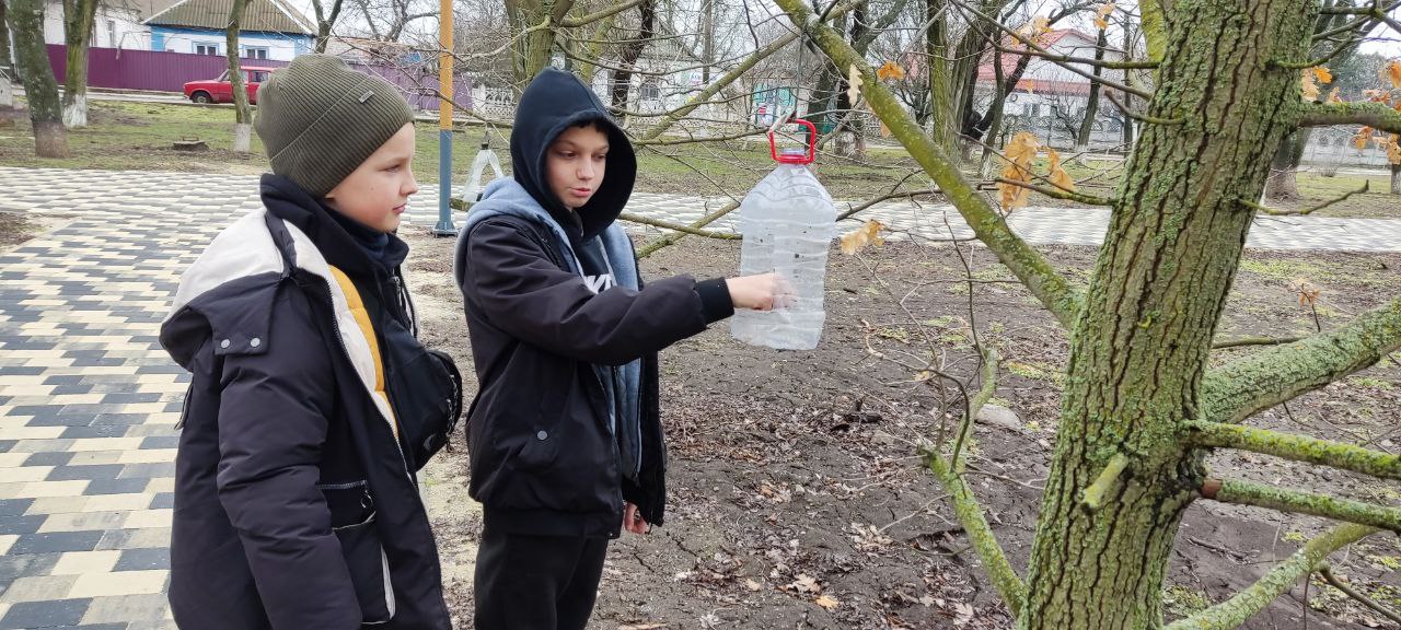 Зима – непростое время для наших пернатых соседей Зима – непростое время для наших пернатых соседей