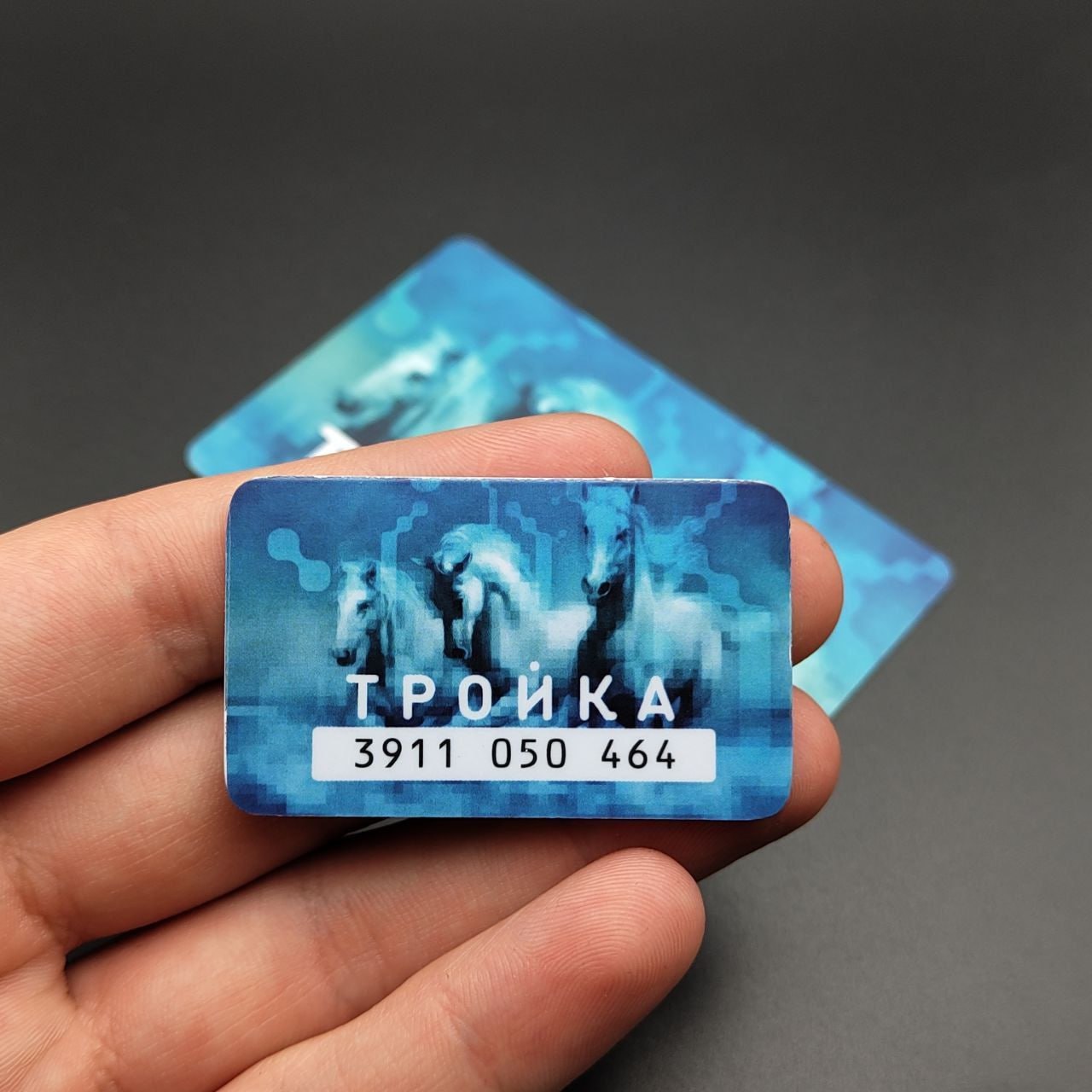 В Германии задержан предполагаемый убийца бывшего советника Януковича Андрея Портнова В Германии задержан предполагаемый убийца бывшего советника Януковича Андрея Портнова